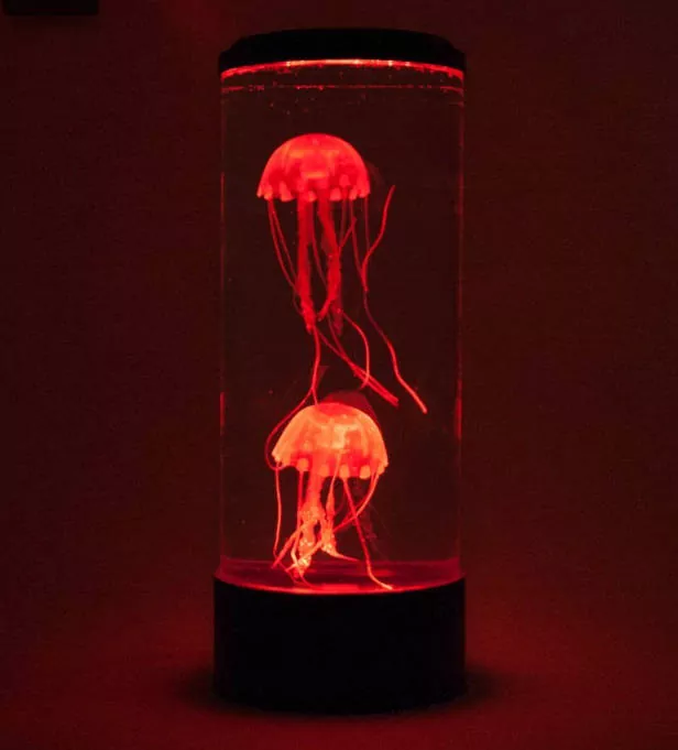 jellyfish lava lamp3